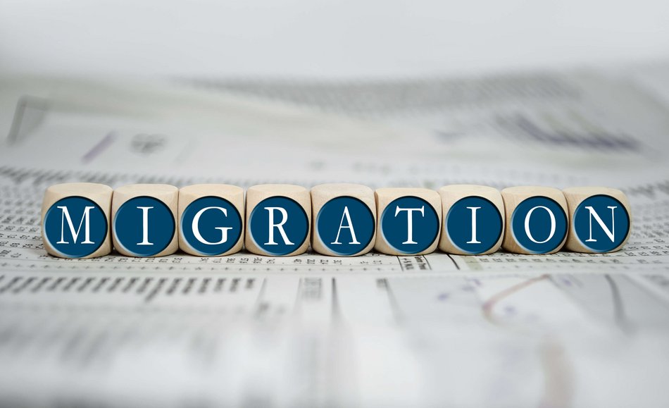 Bild zeigt den Schriftzug Migration auf Holzwürfeln