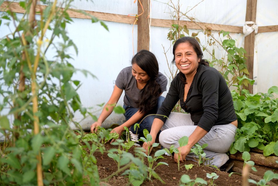Bild zeigt zwei Frauen die in einem Gewächshaus beim arbeiten sind