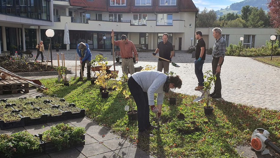 Mitarbeitende einer Einrichtung gestalten den Vorplatz der Einrichtung mit viel Grün.