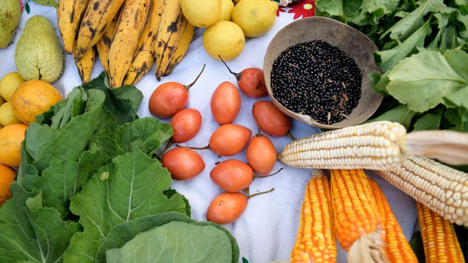 Bild zeigt Obst und Gemüse in bunter Vielfalt von oben 