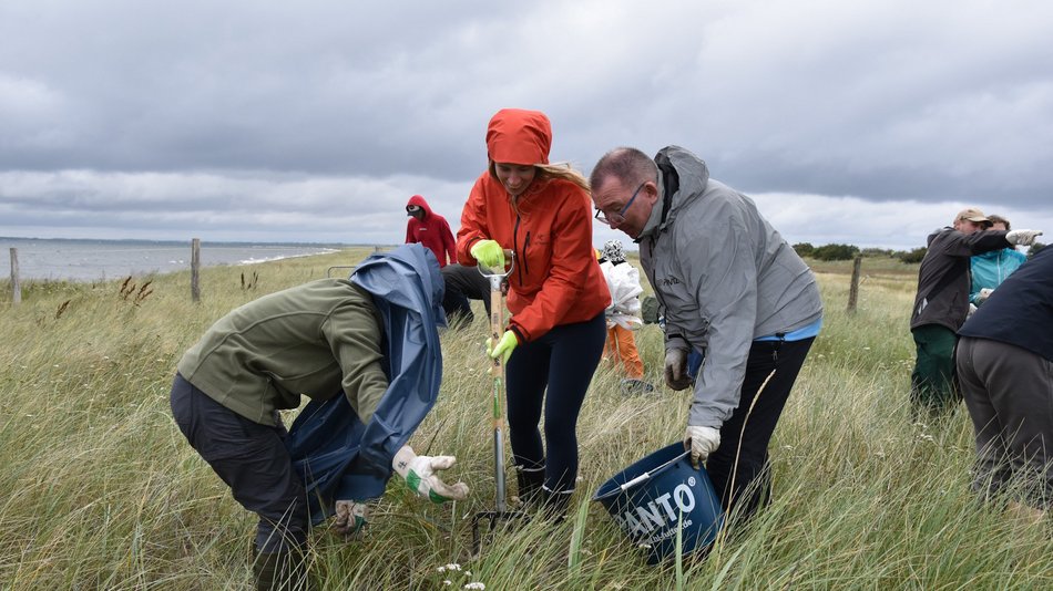 Drei Personen sammeln im Grünen an einem Gewässer Müll auf.