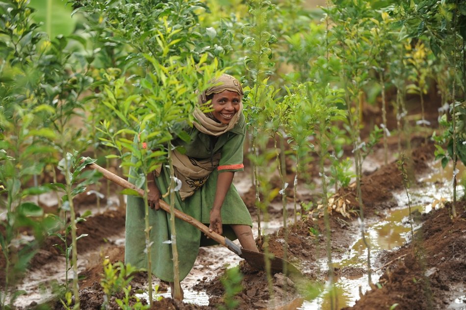 Bild zeigt einen Frau beim Bäume pflanzen
