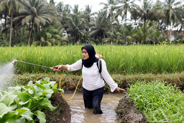 Eine Indonesische Frau steht im Wasser und gießt Pflanzen.