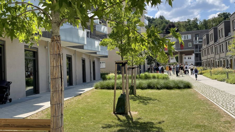 Zu sehen sind Reihenhäuser mit einem Grünstreifen und einem Weg davor.