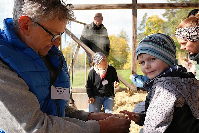 Ein Kind streichelt ein Küken, das von einem Erwachsenen in der Hand gehalten wird.